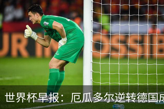 世界杯早报：厄瓜多尔逆转德国成功出线 科特迪瓦队史首次出线