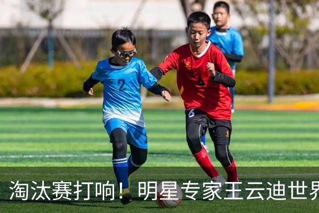 淘汰赛打响！明星专家王云迪世界杯7连红领衔红单